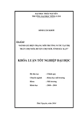 Đánh Giá Hiện Trạng Môi Trường Nước Tại Thị Trấn Chợ