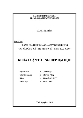 Đánh Giá Hiệu Quả Cây Dong Riềng Tại Xã Đổng Xá, Huyện