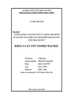 Đánh Giá Khả Năng Bảo Tồn Giống Chè Trung Du Tại Thái