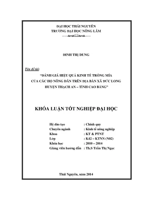 Đánh Giá Hiệu Quả Kinh Tế Trồng Mía Tại Xã Đức Long,