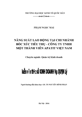 Luận Văn Thạc Sĩ Về Năng Suất Lao Động Tại Chi Nhánh Bốc