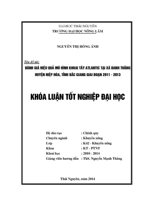 Đánh Giá Hiệu Quả Mô Hình Khoai Tây Atlantic Tại Xã Danh