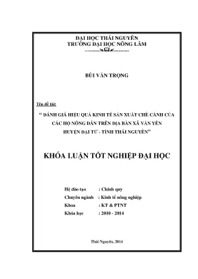Đánh giá hiệu quả kinh tế sản xuất chè cành tại xã Văn
