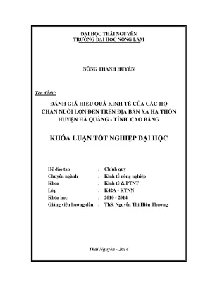 Đánh Giá Hiệu Quả Kinh Tế Chăn Nuôi Lợn Đen Tại Xã Hạ