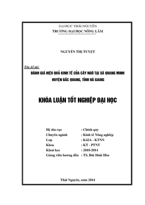 Đánh Giá Hiệu Quả Kinh Tế Cây Ngô Tại Xã Quang Minh,