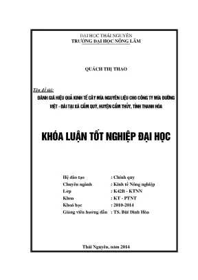 Đánh Giá Hiệu Quả Kinh Tế Cây Mía Nguyên Liệu Tại Xã Cẩm