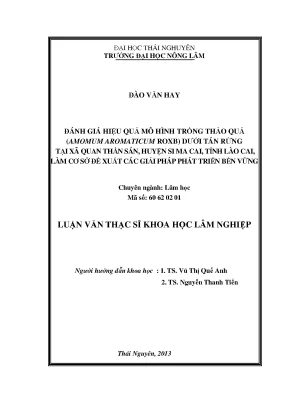 Đánh Giá Hiệu Quả Mô Hình Trồng Thảo Quả Dưới Tán Rừng