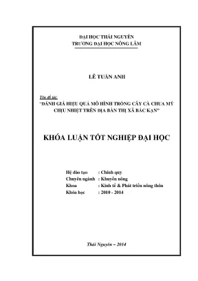 Đánh giá hiệu quả mô hình trồng cà chua Mỹ chịu nhiệt