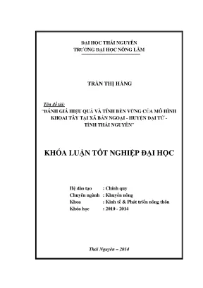 Đánh Giá Hiệu Quả Và Tính Bền Vững Của Mô Hình Khoai Tây