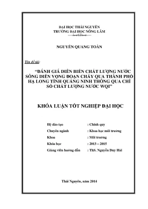 Đánh giá chất lượng nước sông Diễn Vọng qua chỉ số WQI
