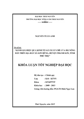 Đánh Giá Hiệu Quả Kinh Tế Sản Xuất Chè Tại Xã Sơn Hùng, 
