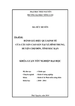 Đánh giá hiệu quả kinh tế cây sắn cao sản tại xã Bình
