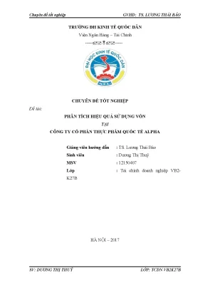 Phân tích hiệu quả sử dụng vốn tại Công ty Cổ phần Thực