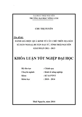 Đánh Giá Hiệu Quả Kinh Tế Cây Chè Tại Xã Bản Ngoại,