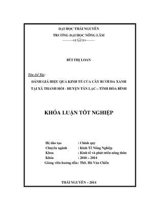 Đánh Giá Hiệu Quả Kinh Tế Cây Bưởi Da Xanh Tại Xã Thanh