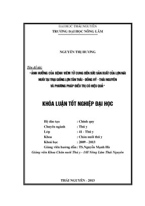 Ảnh hưởng của viêm tử cung đến sức sản xuất lợn nái và