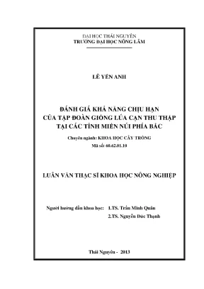 Đánh giá khả năng chịu hạn của giống lúa cạn tại miền