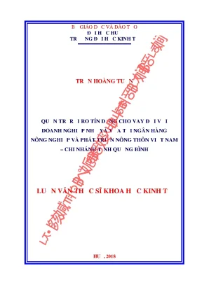 Luận Văn Thạc Sĩ: Quản Trị Rủi Ro Tín Dụng Cho Doanh