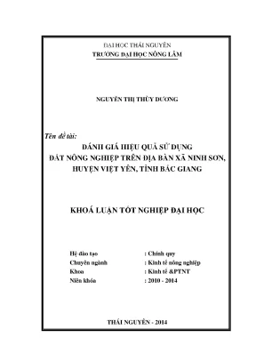 Đánh Giá Hiệu Quả Sử Dụng Đất Nông Nghiệp Tại Xã Ninh
