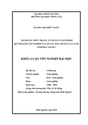 Đánh Giá Thực Trạng & Giải Pháp Quy Hoạch Lâm Nghiệp Tại