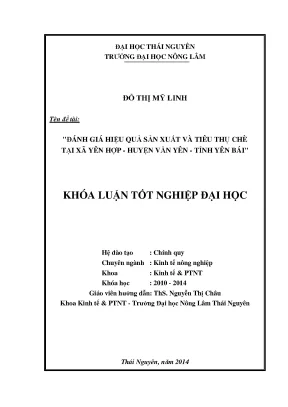 Đánh giá hiệu quả sản xuất và tiêu thụ chè tại Yên Hợp,