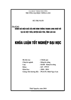 Đánh giá hiệu quả mô hình trồng thanh long ruột đỏ tại