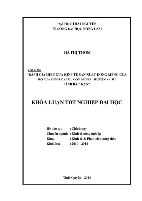 Đánh Giá Hiệu Quả Kinh Tế Sản Xuất Dong Riềng Tại Xã Côn
