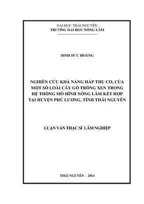Luận Văn Thạc Sĩ: Nghiên Cứu Cây Gỗ Trồng Xen Trong Hệ