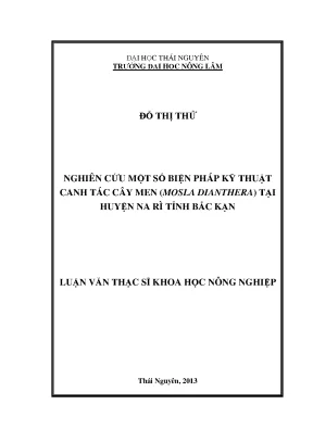 Nghiên cứu biện pháp kỹ thuật canh tác cây men Mosla