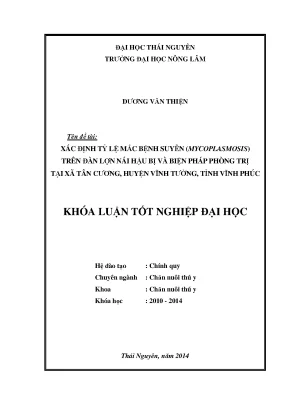 Nghiên cứu tỷ lệ mắc bệnh suyễn mycoplasma trên lợn nái