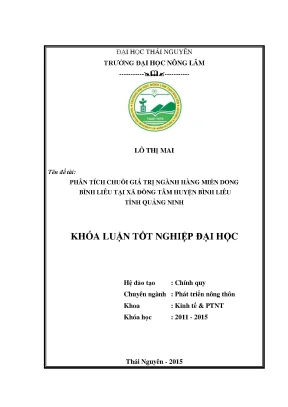 Phân Tích Chuỗi Giá Trị Ngành Miến Dong Bình Liêu Tại Xã