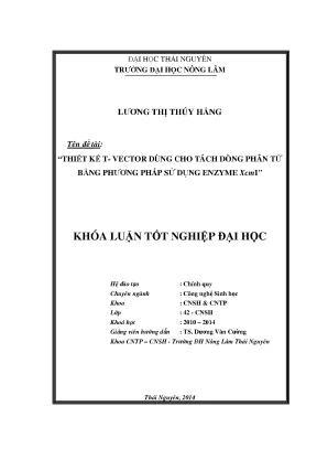 Thiết kế vector t cho tách dòng phân tử bằng enzyme xcmi