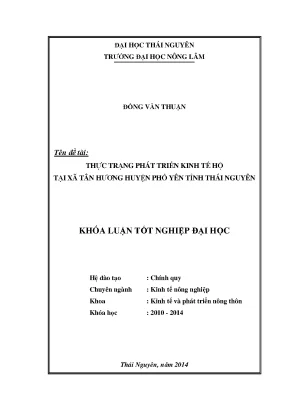 Luận Văn Thạc Sĩ: Thực Trạng Phát Triển Kinh Tế Hộ Tại