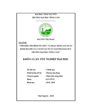 Luận Văn: Mô Hình Tổ Chức Và Hoạt Động Sản Xuất Kinh