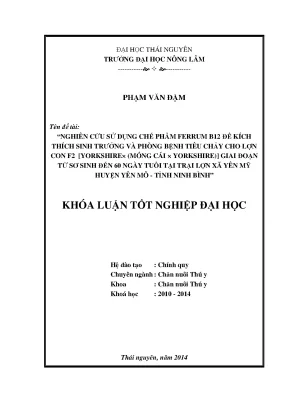 Nghiên cứu chế phẩm Ferrum B12 cho lợn con: Kích thích