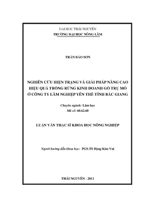 Nghiên cứu & giải pháp nâng cao hiệu quả trồng rừng gỗ