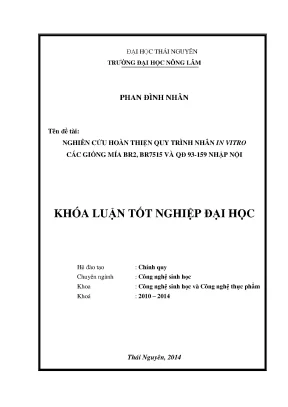 Nghiên cứu quy trình nhân giống in vitro giống mía BR2,