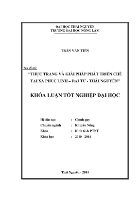 Thực Trạng Và Giải Pháp Phát Triển Chè Tại Xã Phục Linh,