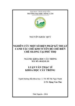 Kỹ Thuật Canh Tác Chè Kim Tuyến Để Chế Biến Chè Olong