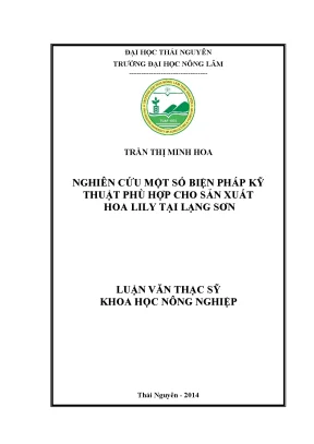 Biện pháp kỹ thuật tối ưu cho sản xuất hoa lily tại Lạng Sơn