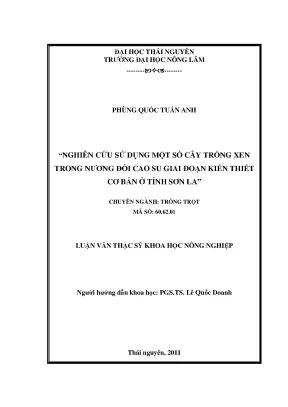 Nghiên cứu cây trồng xen trong nương đồi cao su tại Sơn La
