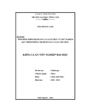Nhiễm bệnh sán lá gan ở trâu: Tình hình và quy trình