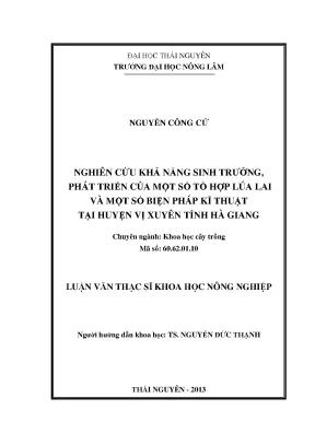Nghiên cứu khả năng sinh trưởng lúa lai và biện pháp kỹ