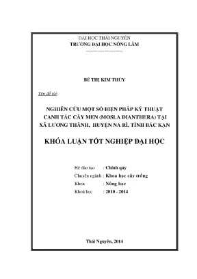 Nghiên cứu biện pháp kỹ thuật canh tác cây men Mosla
