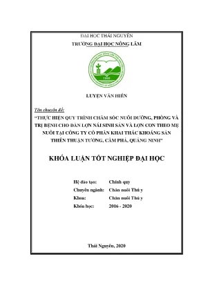 Quy Trình Chăm Sóc, Nuôi Dưỡng Và Phòng Trị Bệnh Cho Lợn