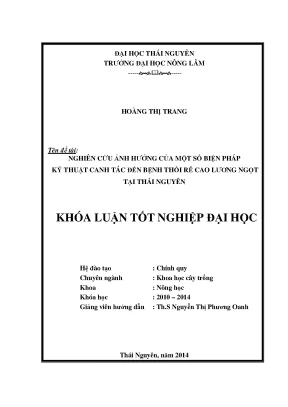 Nghiên cứu biện pháp canh tác giảm bệnh thối rễ cao