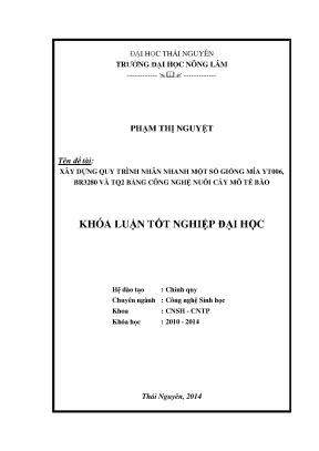 Quy trình nhân nhanh giống mía yt006, br3280 và tq2 bằng