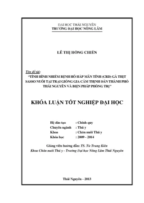 Nhiễm bệnh hô hấp mãn tính CRD trên gà thịt Sasso tại