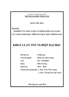 Nghiên cứu khả năng cố định kim loại nặng của than sinh