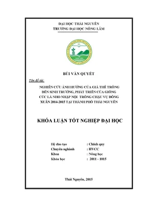 Nghiên cứu ảnh hưởng của giá thể đến sinh trưởng hoa cúc